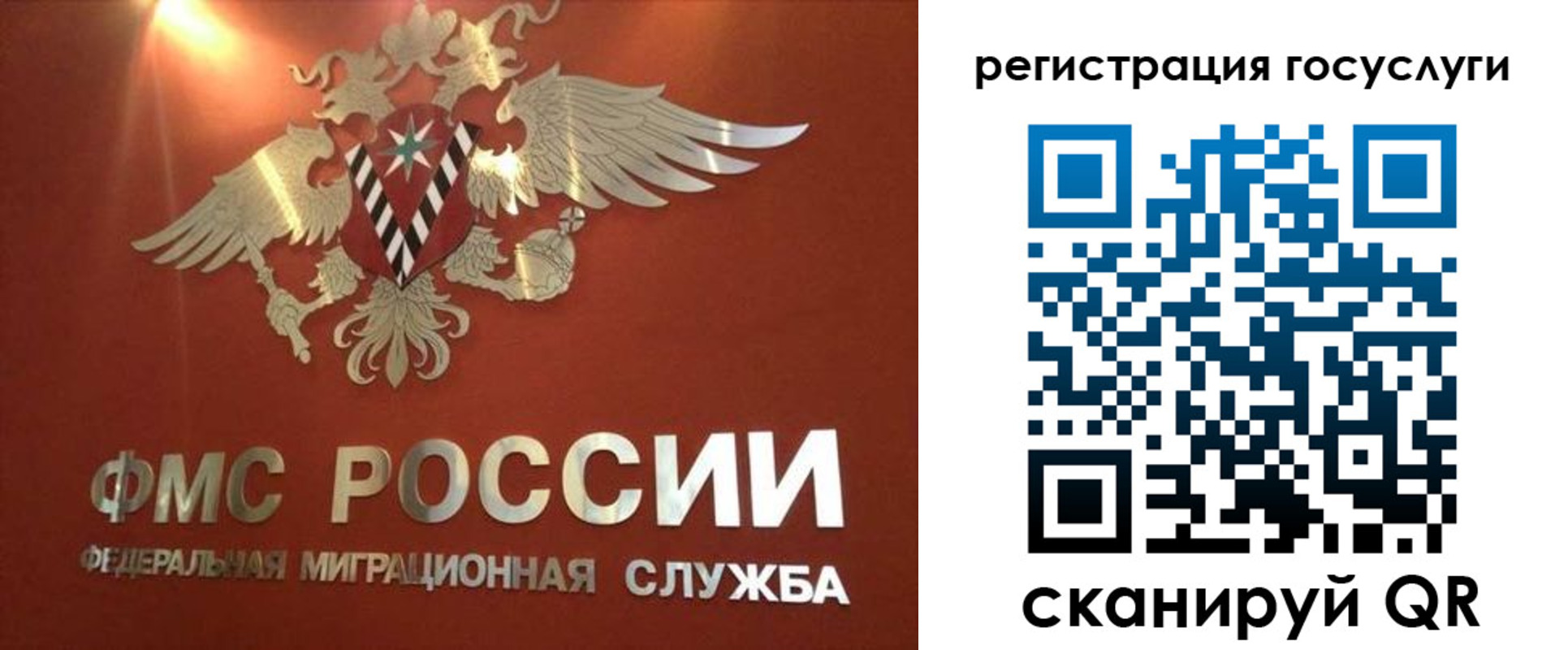 прописка ребенка в Димитровграде